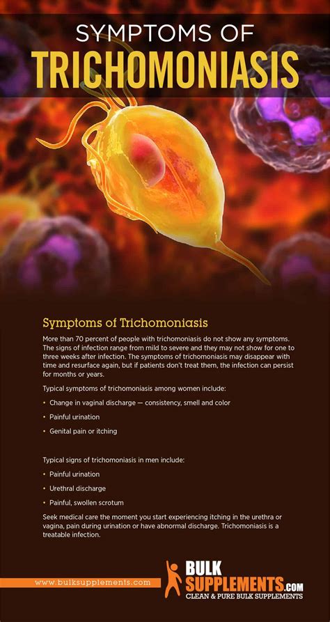 Stages Of Trichomoniasis