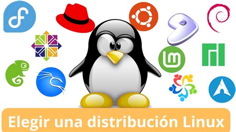 Cómo Elegir Una Distribución Linux Redesteleco
