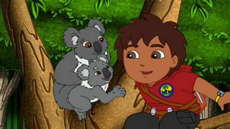 Watch Go Diego Go Season 4 Episode 14 Koalas Birthday Hug Full