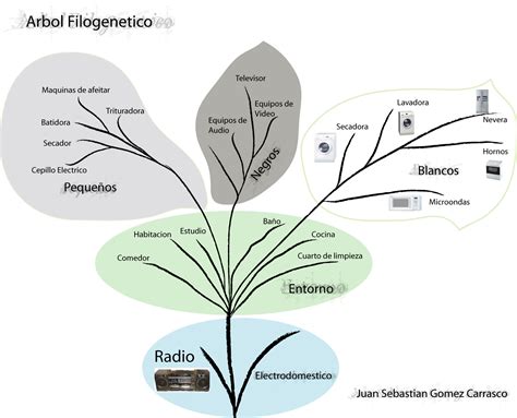 Amigos Para Siempre LÍneas FilogenÉticas ImÁgenes Y Estudios