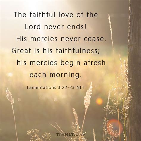 35 encouraging bible verses that offer strength and healing. 17 Best images about LAMENTATIONS on Pinterest | Grace o ...