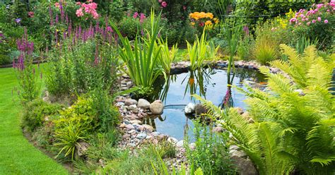 Tritt auf, wenn es darum geht, einen gartenteich anzulegen. Backyard Ponds - Ambiance | Backyard Ponds | Houston