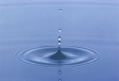 Water Drop Forming Spike Photo Wp10304