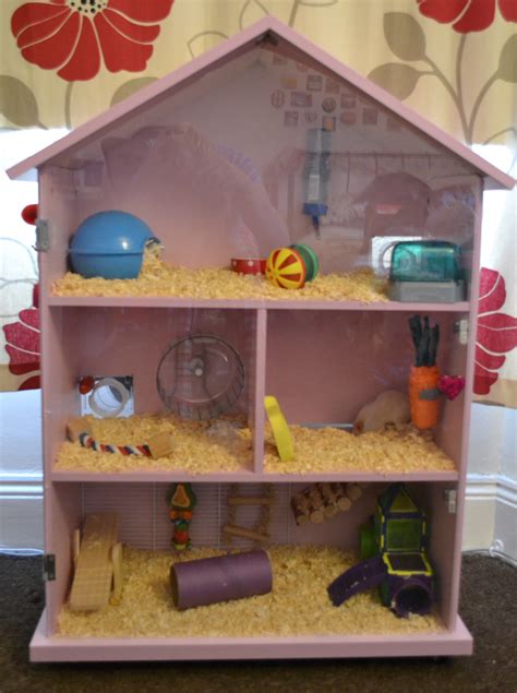 Just Finished This Hamster House For My Hamster Phoebe Hamster