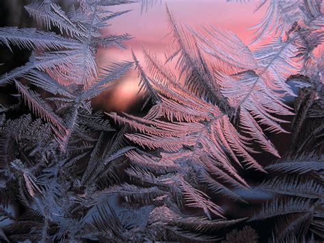 Ice Crystal Sunrise0285 Photoholic1 Flickr