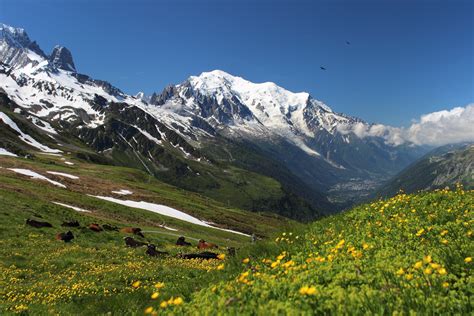 Paesaggio Estivo Monte Bianco Valle D Aosta Montagna Estate