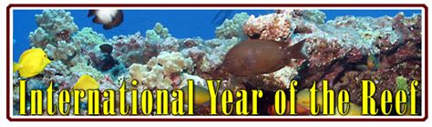 Sanctuary Program Joins International Year Of The Reef Campaign