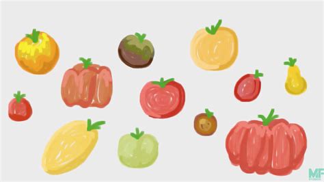 Is The Tomato A Fruit Or A Vegetable Video Mental Floss