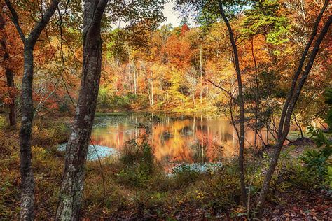 Autumn Reflections Photograph By Susan Rissi Tregoning Fine Art America