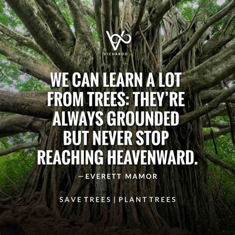 We Can Learn A Lot From Trees They Are Always Grounded But Never Stop