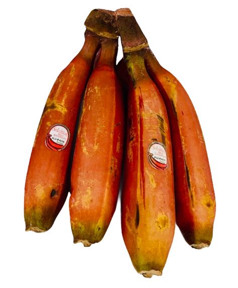 Banana Red 1kg - Watts Farms