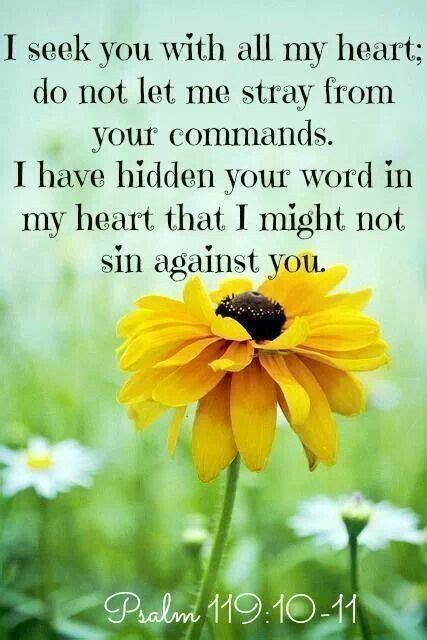 Maybe you would like to learn more about one of these? I seek You with my whole heart do not let me stray from ...