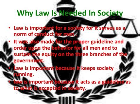 Essay On The Importance Of Laws In Society