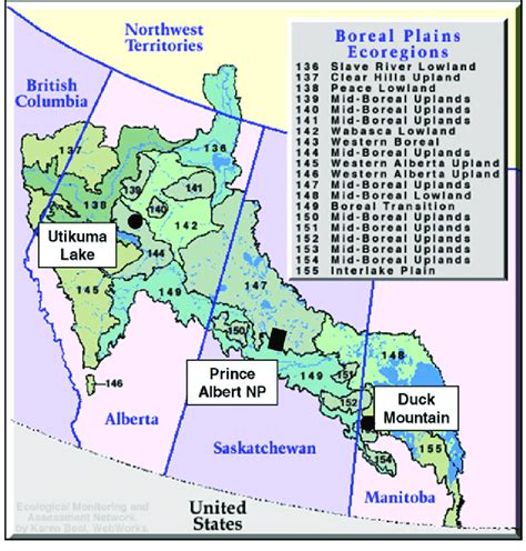 Canadas Boreal Plains Ecozone Divided Into Ecoregions With Study Site