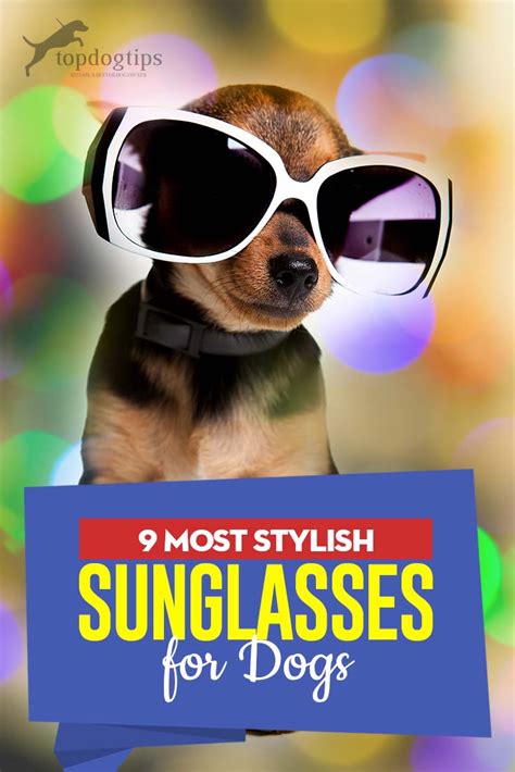 9 Most Stylish Sunglasses For Dogs To Try Right Now Top Dog Tips