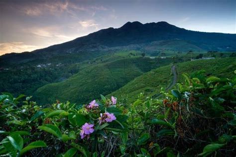 We did not find results for: √ 10 Wisata Tawangmangu Paling di Cari Traveler