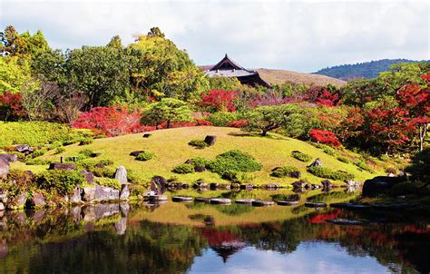 Isuien Garden In Nara Japan Photograph By Victoria Knobloch