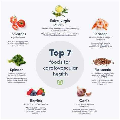 7 Best Foods For Heart Health Fullscript
