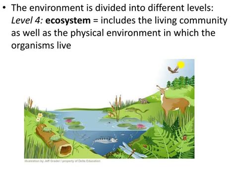 PPT 1 1 Biotic And Abiotic Factors In Ecosystems PowerPoint