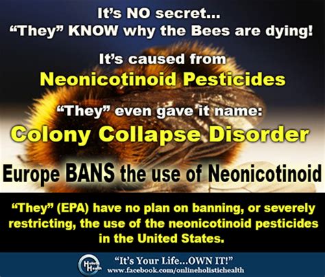 Colony Collapse Disorder European Bans On Neonicotinoid Pesticides