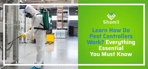 Read To Know How Do Pest Controllers Work For Home Deep Cleaning