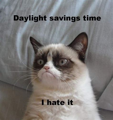 Daylight Savings Time Grumpy Cat Humor Grumpy Cat Funny Cat Memes