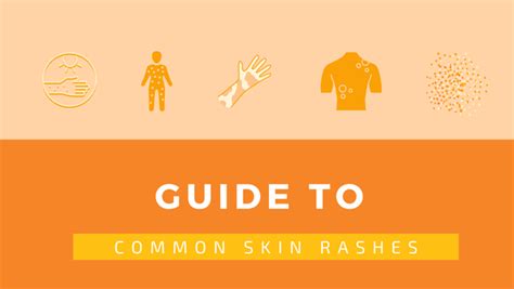 Common Types Of Skin Rashes Skin Rash Treatments Cleure