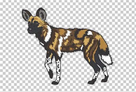 African Wild Dog Dhole Common Warthog Png Clipart African Wild Dog