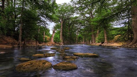 Rock Stones On River Between Green Trees Covered Forest Hd Country