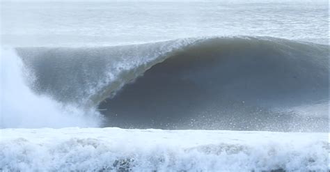 Little Namibia Comes To The Obx Beach Grit