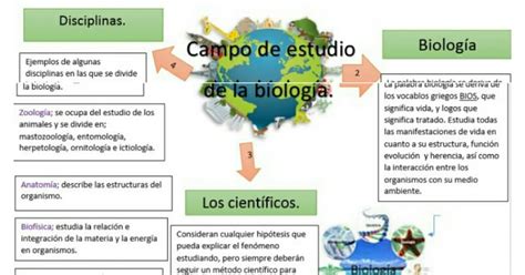 Tareas Biolog A Mapa Mental Campos De Estudios De La Biolog A