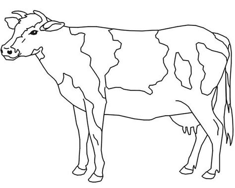 Cow Coloring Page For Kids Netart