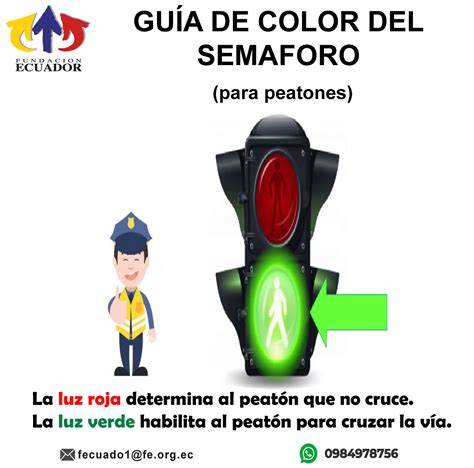 Semaforo Guía Colores Peatones Fundación Ecuador