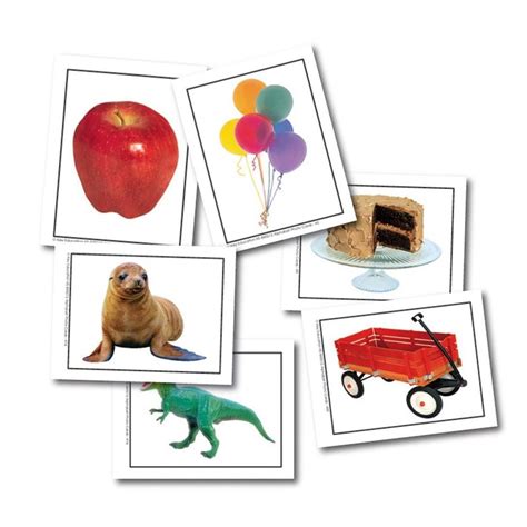 Knowledge Tree Carson Dellosa Education Photographic Learning Cards Alphabet Objects 108pcs D