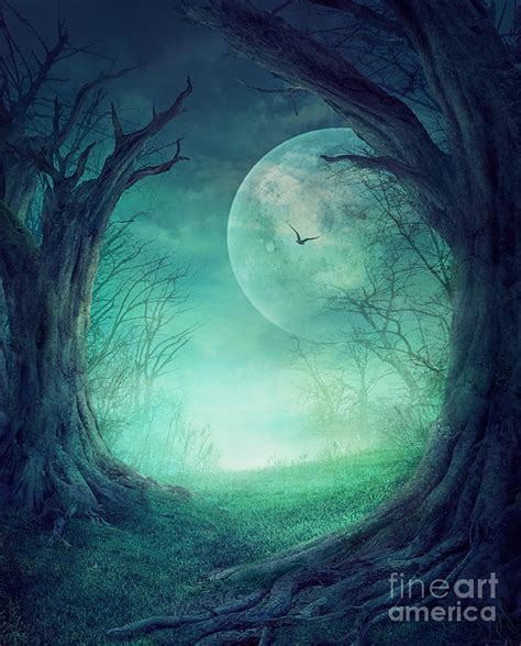 Halloween Spooky Forest Digital Art By Mythja Photography Fine Art