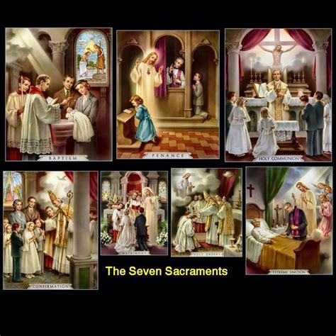 The Seven Sacraments Seven Sacraments 7 Sacraments Sacrament