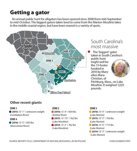 How Long Are South Carolinas Biggest Gators And Where Are They Lurking