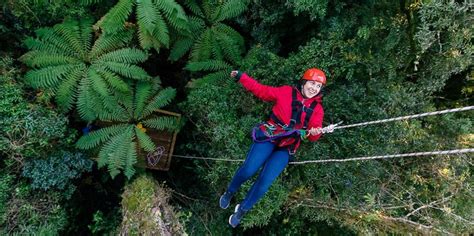 Ultimate Canopy Tour Rotorua Activities Everything New Zealand