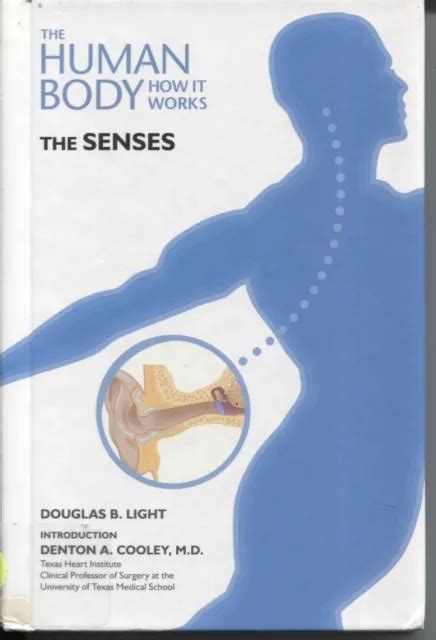 The Senses Human Body How It Works Douglas Light 1200 Picclick