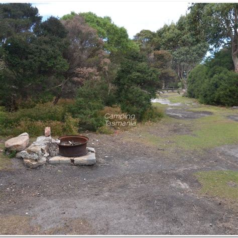 Campground Deep Creek Free Campgrounds Camping Tasmania Map Directory