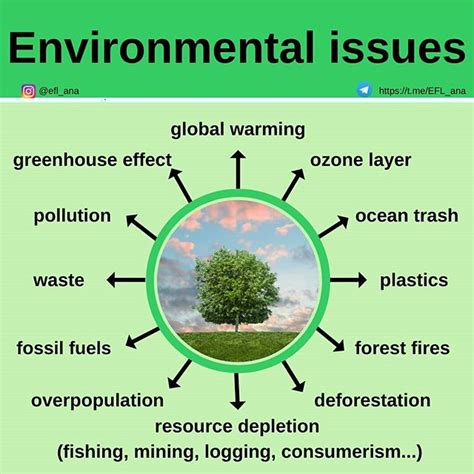 Eflana Heres Some More Vocabulary About Environmental Issues Can You Add Any Others