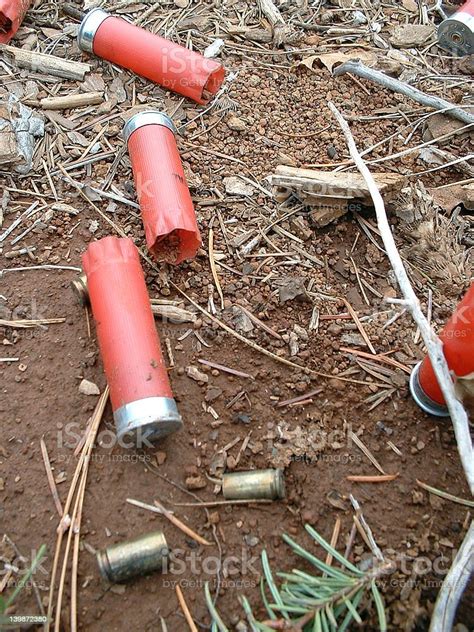 Bullets On Ground Stock Photo Download Image Now Bullet Container