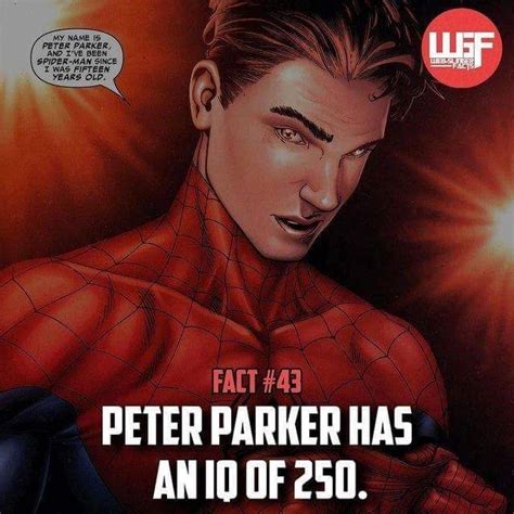 Pin By Steven Gandy On Most Amazing Facts About Spider Man Marvel