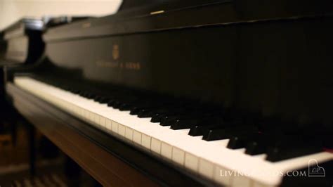 Steinway Concert Grand Piano Steinway Model D For Sale Living