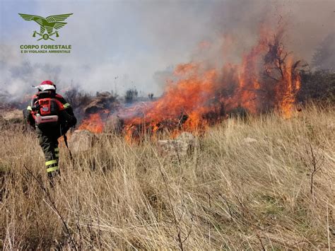 Quattro regioni e la provincia autonoma di trento rimangono gialle. Incendi, è allerta in Sardegna: mercoledì 19 agosto ...
