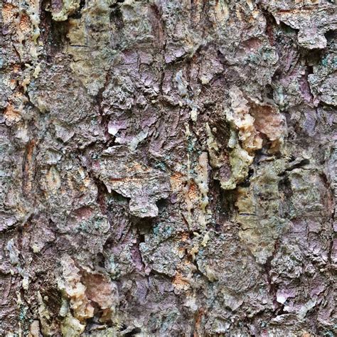 Detailed Repeatable Close Up Texture Of Natural Tree Bark Stock Image