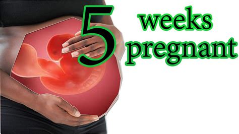 Pin On Pregnancy 5 Weeks ️ All You Need To Know