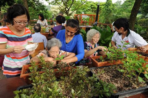 Therapeutic Horticulture Programmes Therapeutic Gardens
