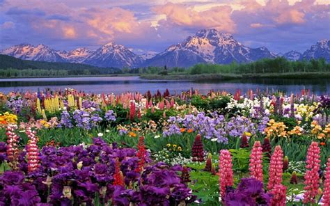 Mountains Landscapes Flowers Garden Scenic Lakes
