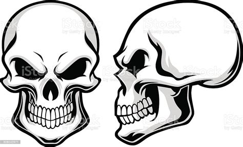 Choose from 420+ skull skeleton graphic resources and download in the form of png, eps, ai or psd. Cartoon Skulls Stock Illustration - Download Image Now ...